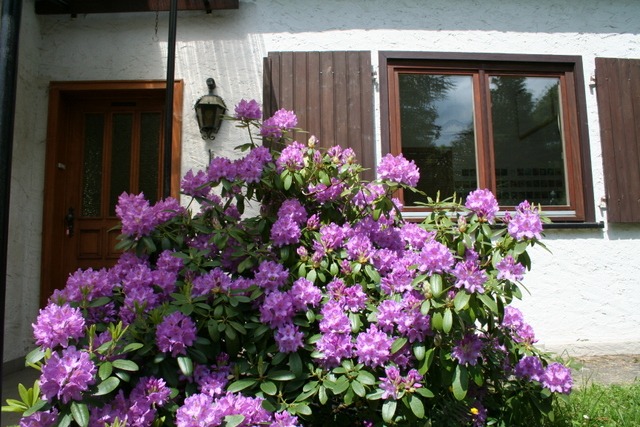 Eingang vom Gruppenhaus
